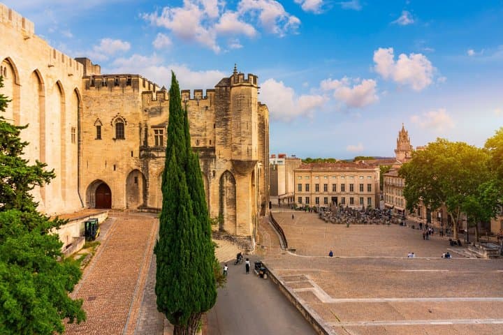 Private Shore Tour: Avignon & Papal Heritage from Arles