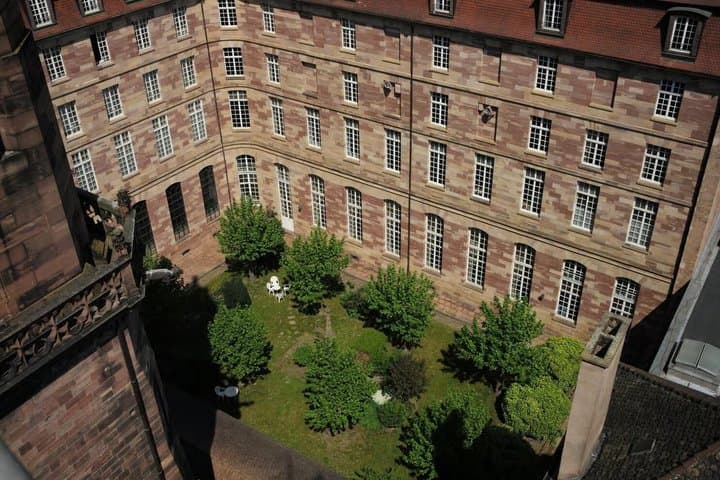 Strasbourg Renaissance Walking Tour Discover Humanist Heritage