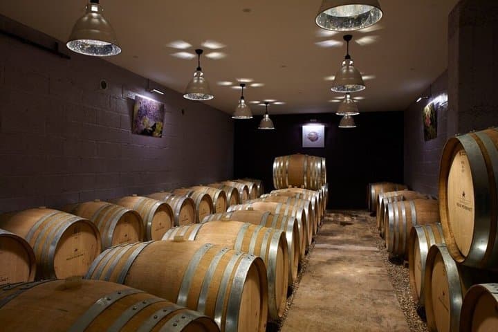 Champagne Régis Poissinet, Winery visit and tasting