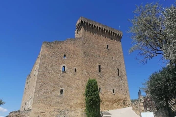 Private half-day tour of Châteauneuf du Pape from Avignon
