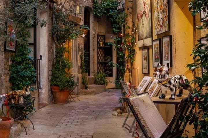 Van Luxury Antibes Tour - St paul Vence + Fondation Maegh - Cannes