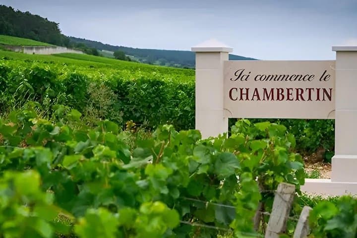 Paris Côte de Nuits Burgundy Wine Tour with Cellar Visit Tasting