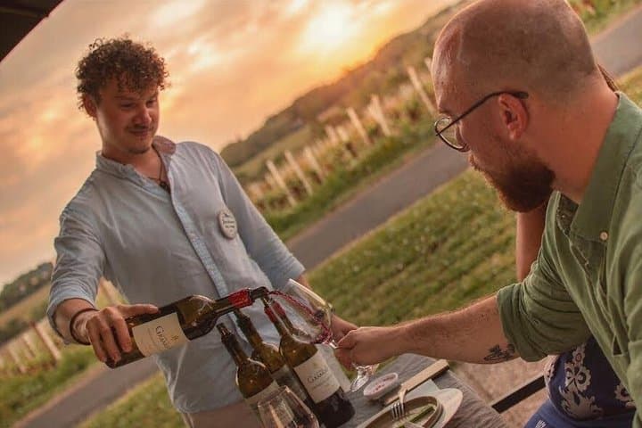 Bordeaux Wine Trails: Saint-Emilion Evening Wine Tour