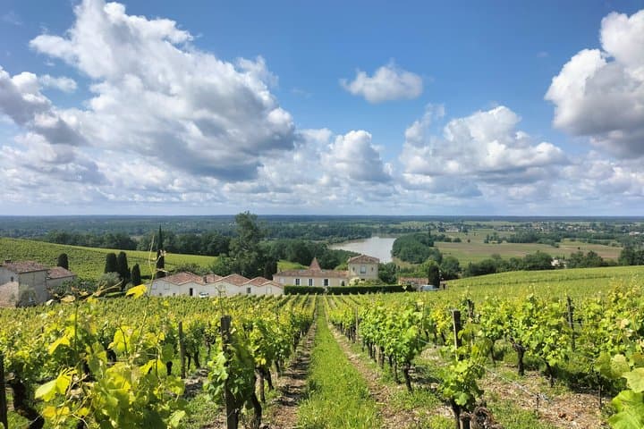 Saint Émilion Premium Experience Village Life & Classified Wines