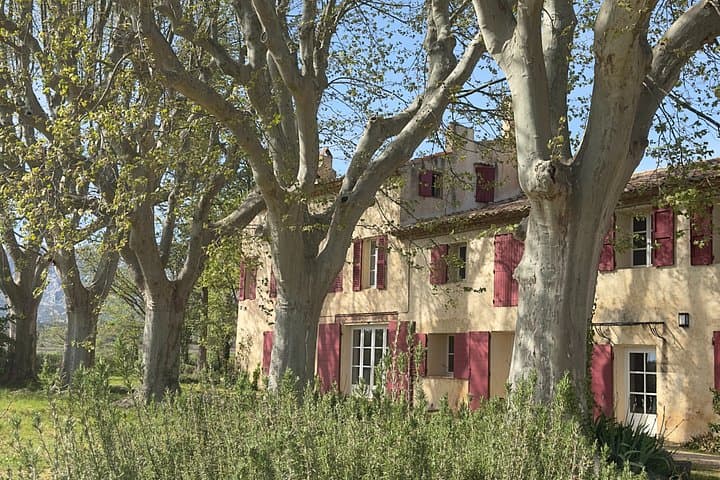 Painting and Wine Tasting in Provence