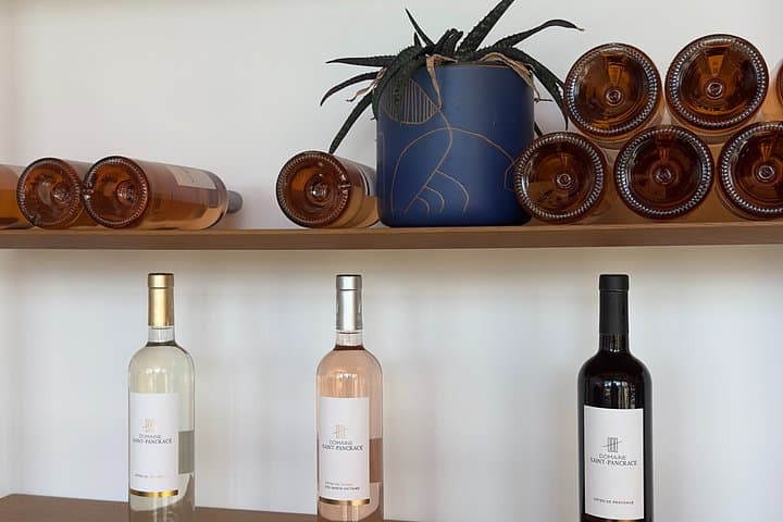 Painting and Wine Tasting in Provence
