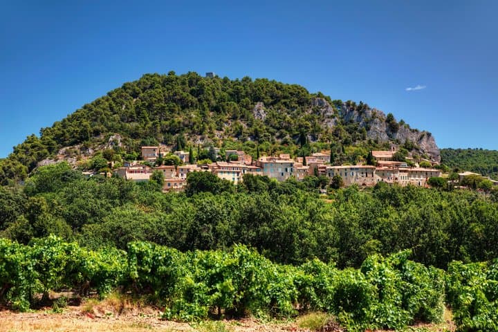 Private Tour: Avignon & Châteauneuf-du-Pape Wines from Marseille