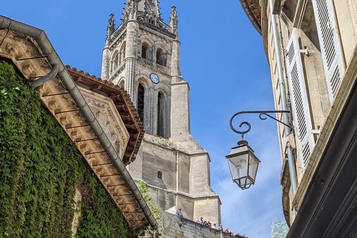 Full Day Saint-Emilion: 2 Wineries with Tastings + Village Tour
