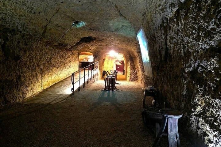 Paris to Loire Valley Wine Tour with Tastings