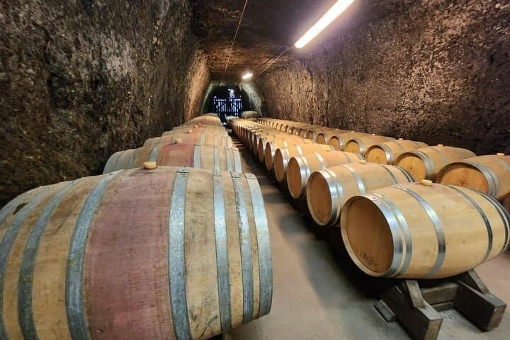Paris to Loire Valley Wine Tour with Tastings