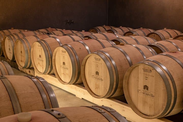 Visit of one of the most modern cellars in Provence