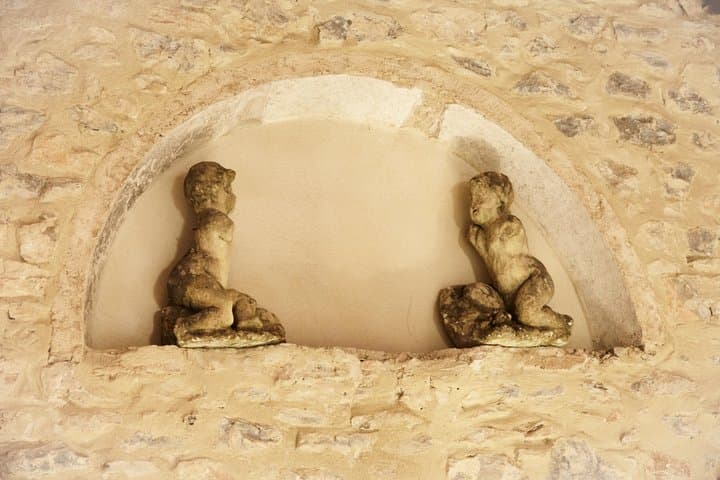 Visit of one of the most modern cellars in Provence