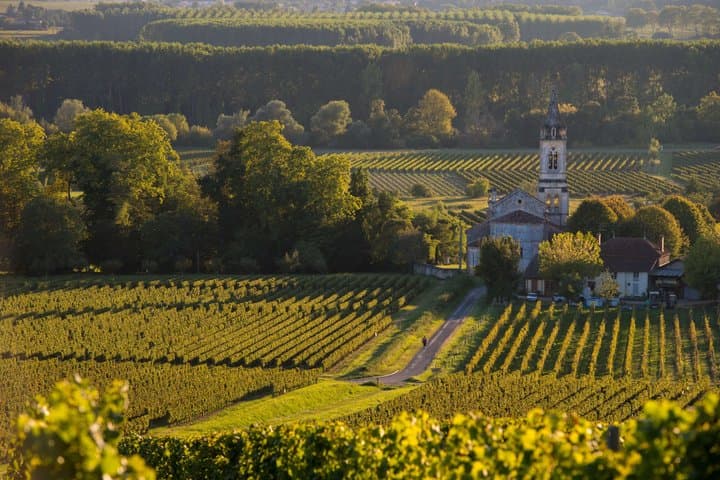 Vineyard Excursion Between Two Seas in the heart of unspoilt places