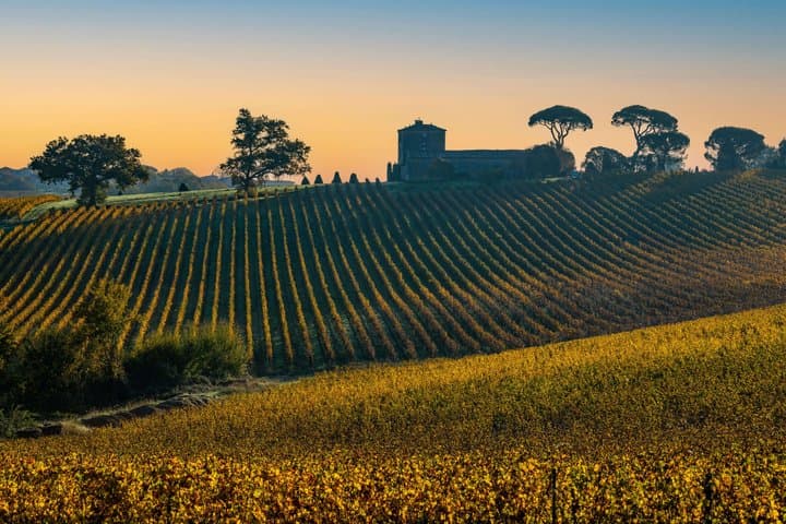 Vineyard Excursion Between Two Seas in the heart of unspoilt places