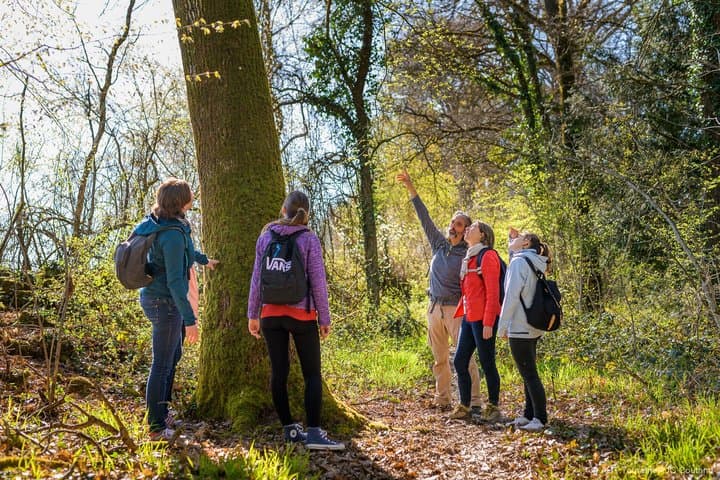 Silvotherapy an immersion in the heart of nature near Tours