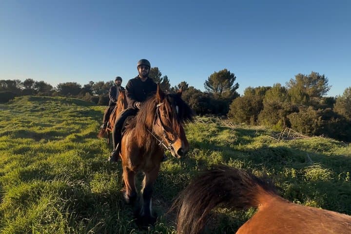 Horseback riding in Provence