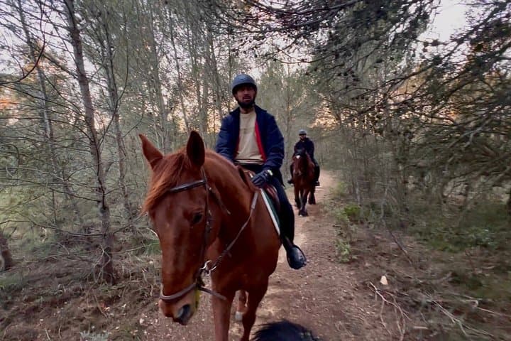 Horseback riding in Provence