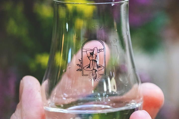 Paris - Wine lover day : The best way to explore for Wine lovers