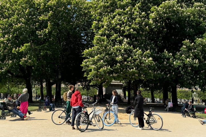 Dutch 3 Hour Bike Tour Hidden Gems of Paris with Local Guide