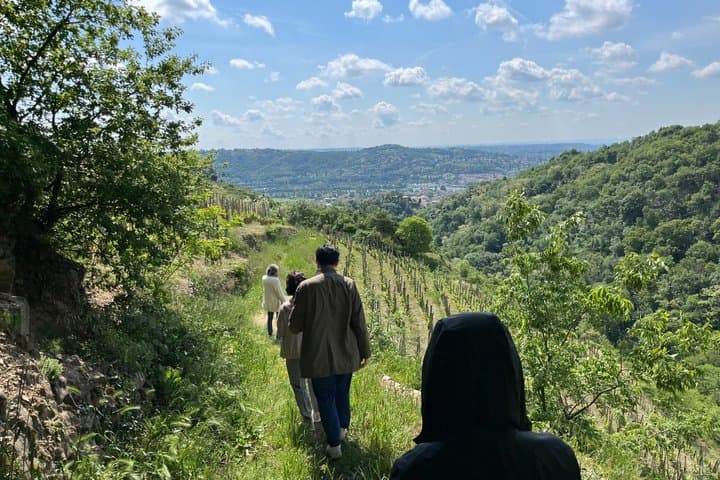 Private Rhône-Valley wine tour