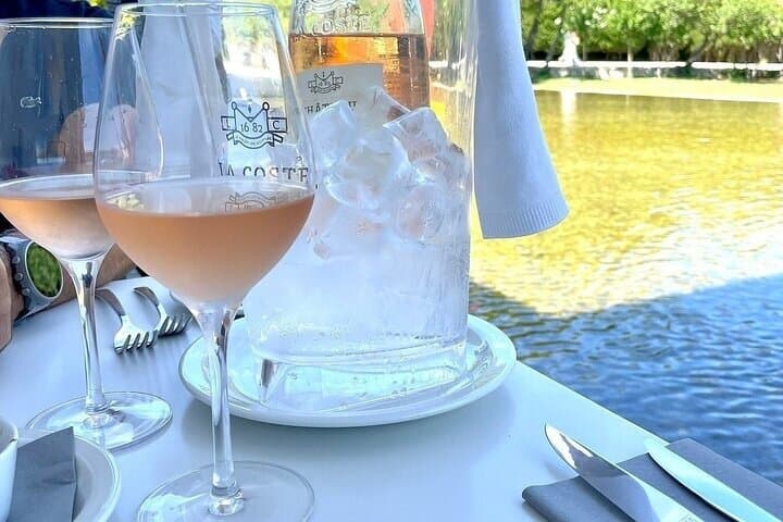 Provence Wine Contemporary Art and Iconic Architecture