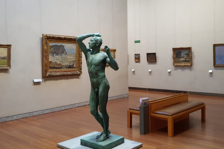 Fine Arts Museum of Lyon Highlights Private Tour