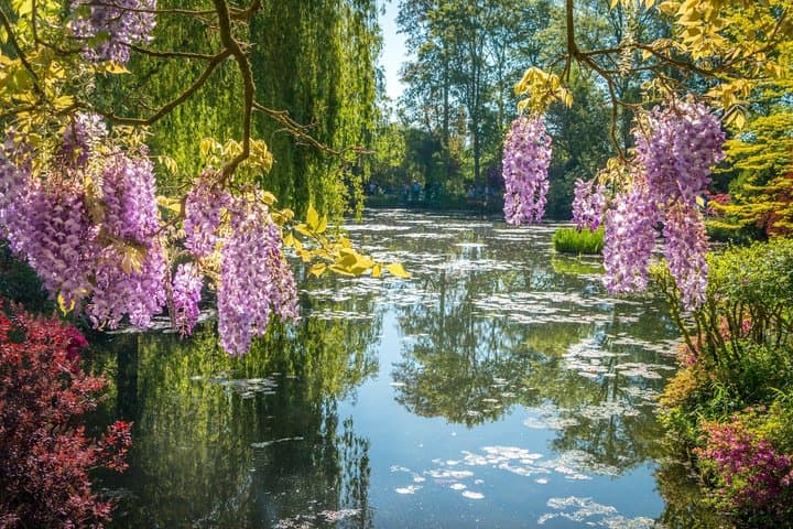 Claude Monet Pivate Tour Giverny and Orangerie from Paris