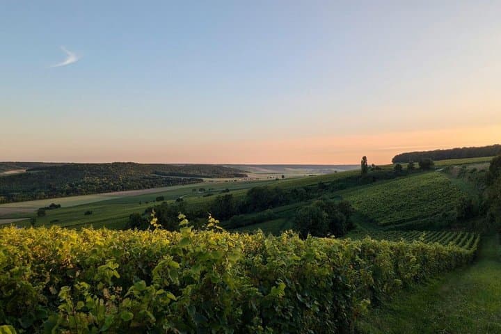 Private Champagne Tour from Paris Reims and Épernay