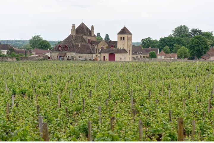 Private Champagne Tour from Paris Reims and Épernay
