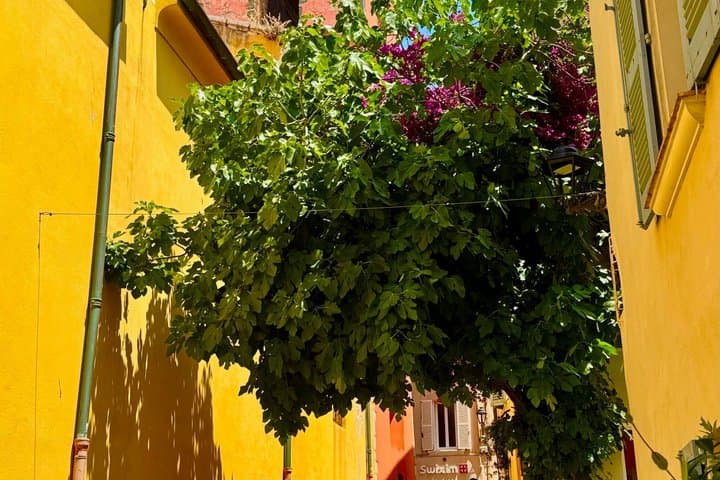 Cheap and Pro Van Transportation to Saint Tropez
