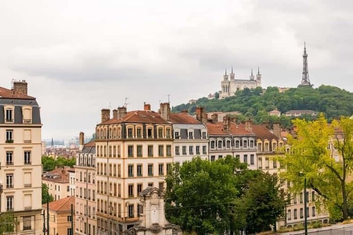 Discover Mur des Canuts on Lyon Walking Tour