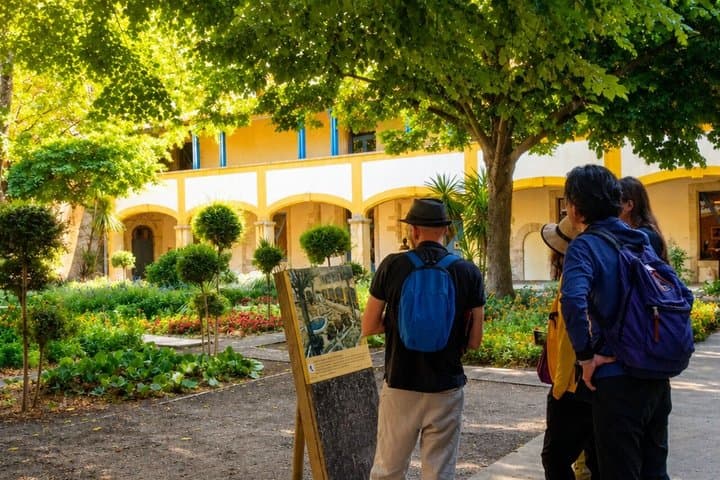 In the footsteps of Van Gogh in Provence from Avignon