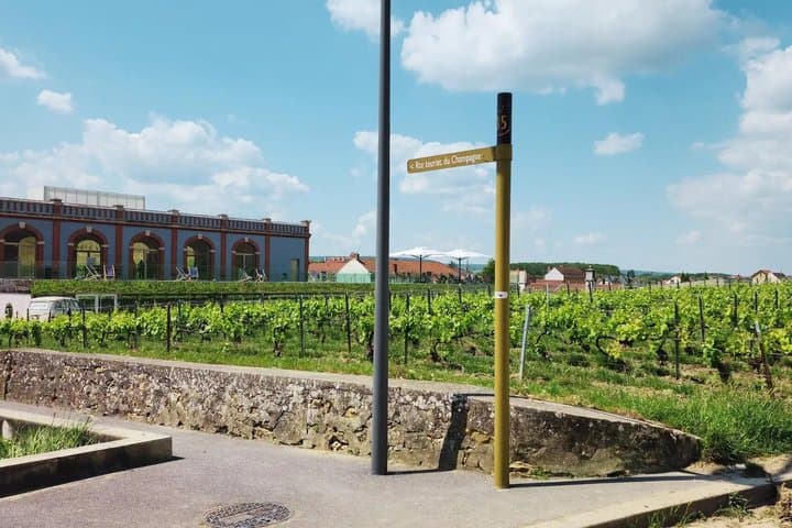 Women Led Champagne Tour Tastings and Veuve Clicquot