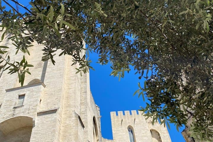 Immersion in the Heart of Avignon Secret of the Popes and Friendliness