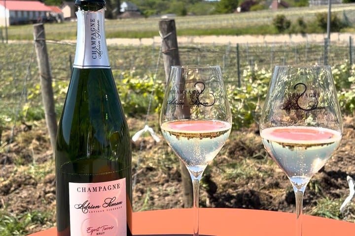 Visit of a family estate of Champagne near Reims