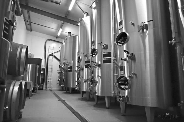 Visit of a family estate of Champagne near Reims