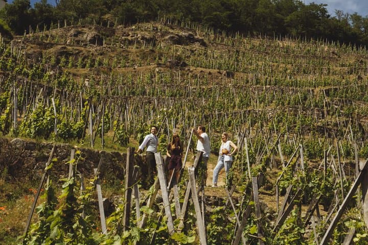 Côtes du Rhône Private Wine Day Tour by Vintage Range Rover