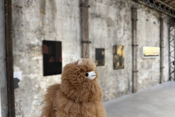 Paris Art Galleries Private Tour with a Curator