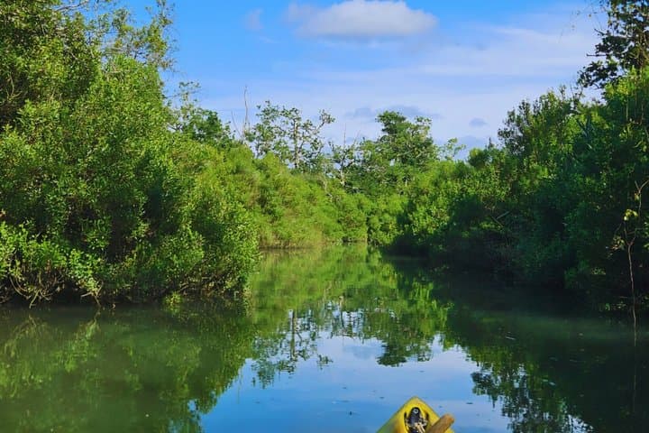 Kayaking Rental on the Nive River in Bayonne