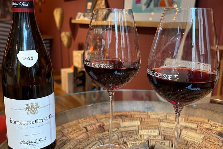 Burgundy Wine Tasting in Dijon