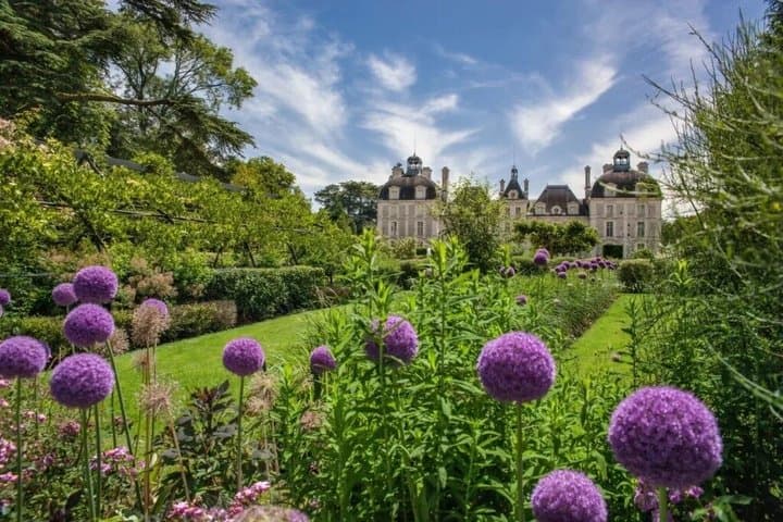 Private Chauffeur Service from Paris to Loire Valley Castles