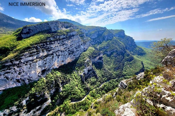 Canyon of Verdon and Lavender fields