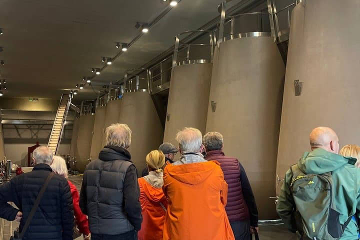 Saint Emilion Half-Day Trip with Wine Tasting & Winery Visit from Bordeaux