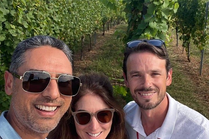 Alsace Wine Route Small Group Half-Day Tour with Tasting from Strasbourg
