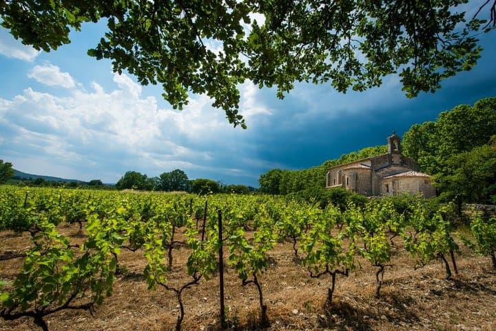 Gaillac Wine Tour Small Group Half Day Tour From Toulouse