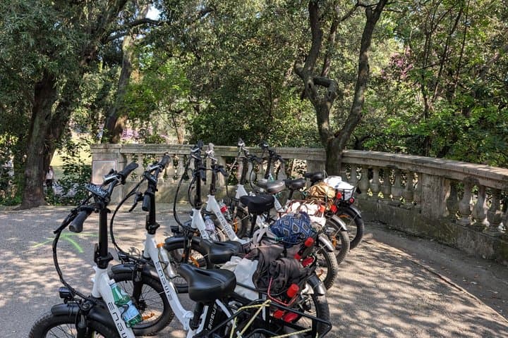 Guided tour of Nice by electric bike and all its history.