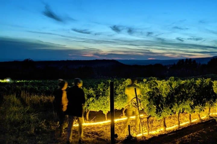 Rousset les Vignes night walk in the vineyards