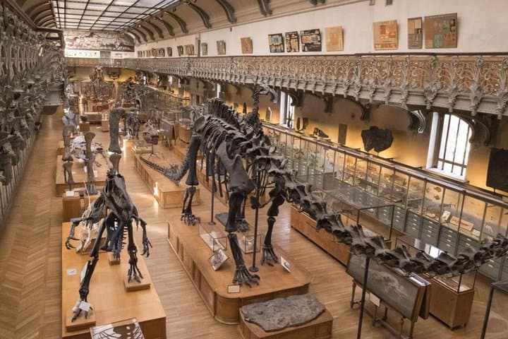 Paris Tour Landmarks Games and Dinosaurs Museum