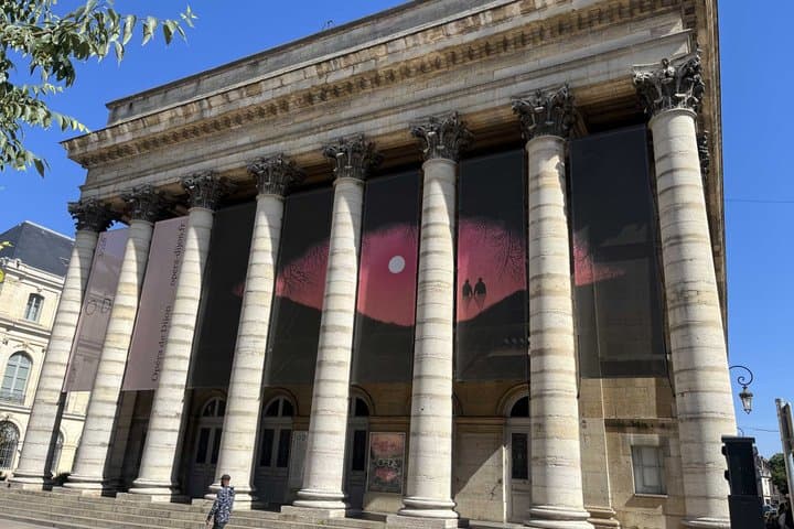 Dijon Walking City Tour with Audio guide - Updated june '26