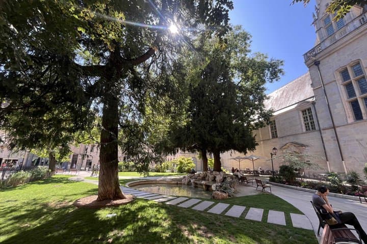 Dijon Walking City Tour with Audio guide - Updated june '26